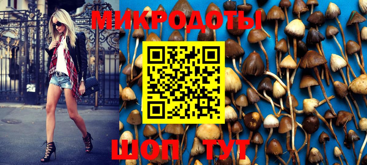Новомосковск  Галлюциногенные грибы Psilocybine cubensis  Вход с VPN 