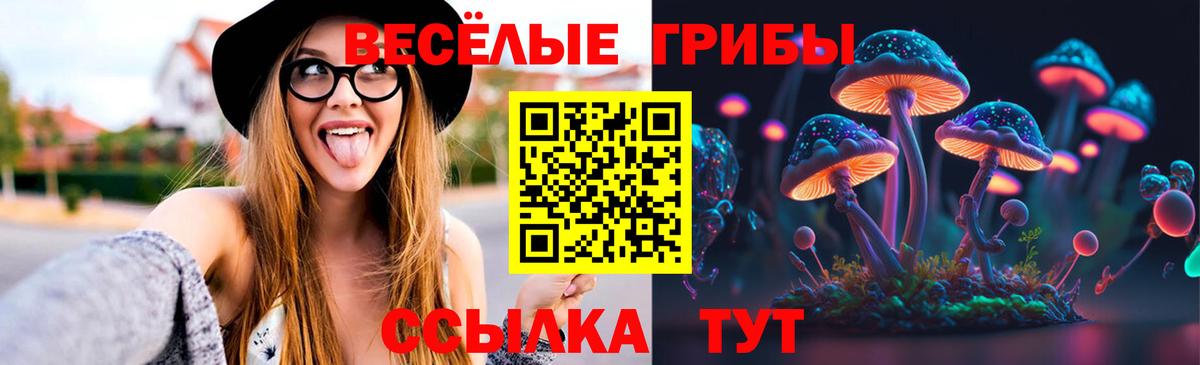 Галлюциногенные грибы ЛСД Новомосковск